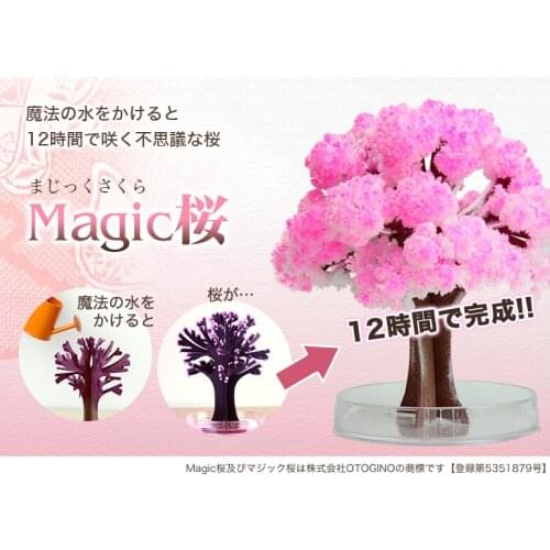 2019 14x11cm Pink Big Grow Magic Paper Sakura Tree Japanese Magically Growing Trees Kit Desktop Cherry Blossom Christmas 20PCS