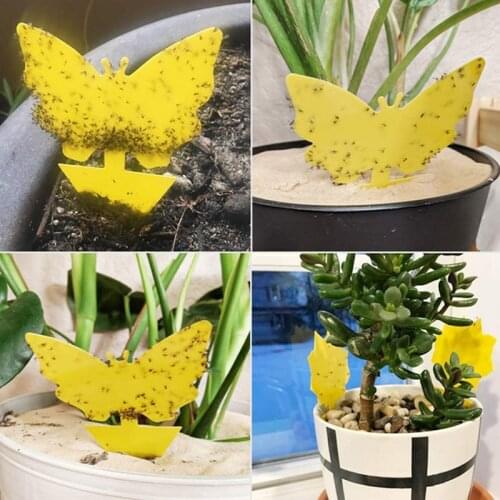 10 Pcs Sticky Fly Trap Yellow Dual-Sided Gnat Glue Trapper Sticky Bug Trap Disposable Insect Catcher Sticky Board