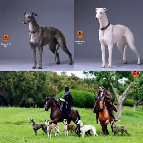 1:6 Scale Mr.Z Resin PVC Miniature Lifelike Animal Model Greyhound Dog Model Toy fit 12" Action Figure Toys Accessories