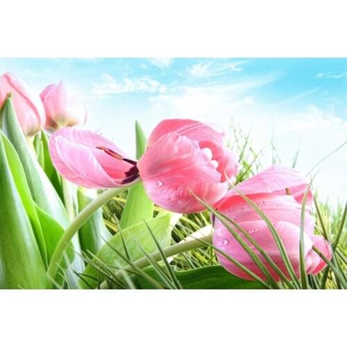 Custom Tulips Closeup Pink color Flowers wallpaper papel de parede,hotel living room sofa TV wall bedroom mural wallpaper 3d