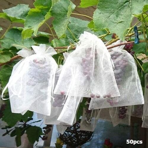 50pcs Vegetable Fruit Grow Bag Plants Protection Bag Anti Bird Drawstring Netting Candy Mesh Pouch Agriculture Pest Control