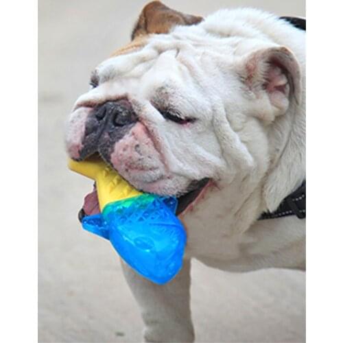 Summer ice-cold Fish Dog Toy Bite-Resistant Molars Can Be Filled with Water Toys Cute Bone Chew Toys Clean Molar Pet Toys
