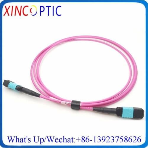 12C MPO OM4 Fiber Patch Cord,1M MPO Fiber Patch Cable OM4 UPC Jumper Female to Female 12Cores Patch Cord Multimode Trunk Cable