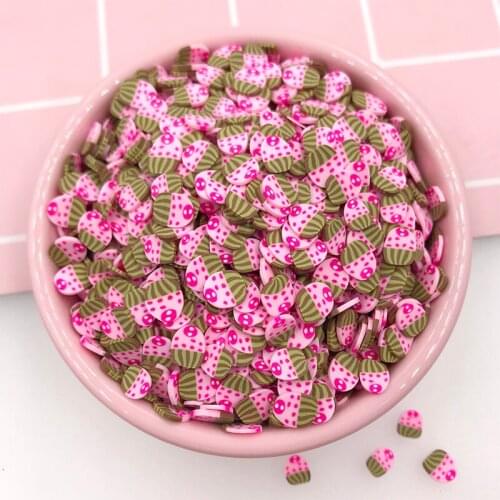 100g/lot Polymer Soft Clay Cake Slices Sprinkles for Craft DIY Making Nail Art Decorations Scrapbooking Phone Case Accessories