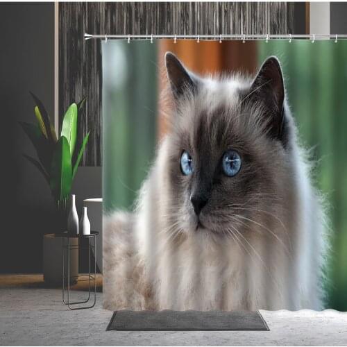 Cute Animal Shower Curtain Set Pet Cat Non-Slip Bathroom Mats Home Decor Bath Hanging Curtains Bathtub Kitchen Doorway Rugs