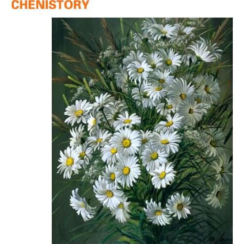 CHENISTORY Daisy Flowers Diy Painting By Numbers Abstract Modern Wall Art Hand Painted Oil Painting For Home Decor Unique Gift