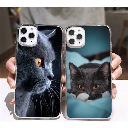 Webbedepp British Shorthair cat Phone Case Transparent soft For iphone 5 5s 5c se 6 6s 7 8 11 12 plus mini x xs xr pro max