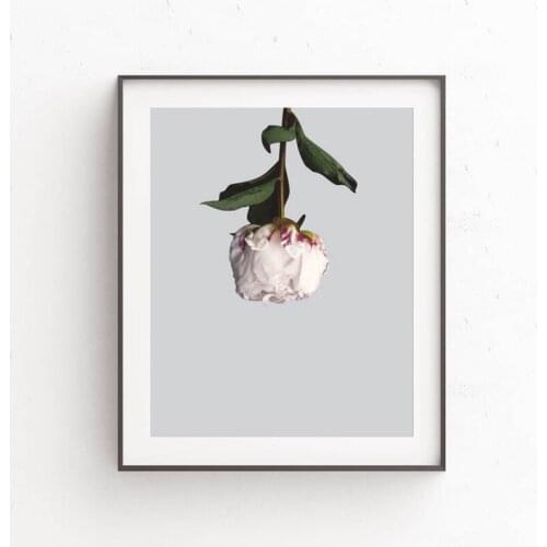 Flower Picture Canvas Print Wall Art Home Decor , Floral Peony Canvas Painting Living Room Bedroom Wall Art Elegant Decor