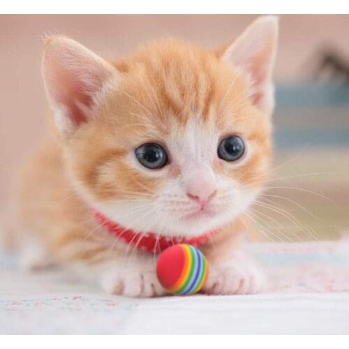 Rainbow Cat Toy Ball EVA Foam Interactive Pet Ball Toys for Chewing Playing Teeth Grinding Funny Kitten Supplies Toys for Cats