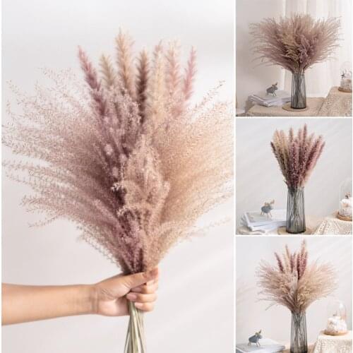 Dried Flower Bouquet Natural Dried Flowers Bouquet Reed Flores Pampas Wheats Ears Setaria For Home Office Decoration can