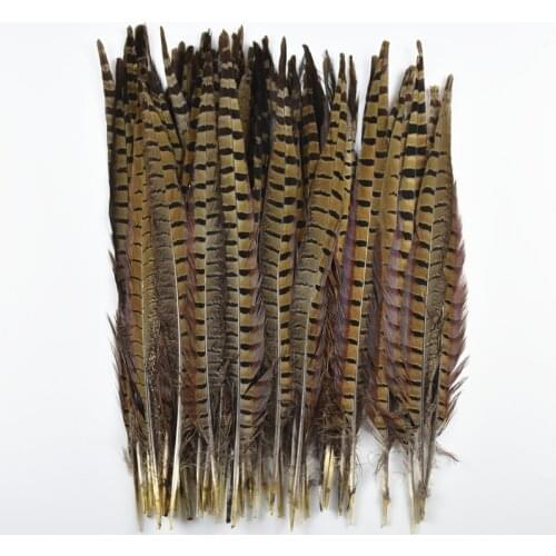 Wholesale Natural Pheasant Tail Feathers for Decoration 8-26" 20-65cm Long Pheasant Feather Decor DIY Carnival Accessories Plume