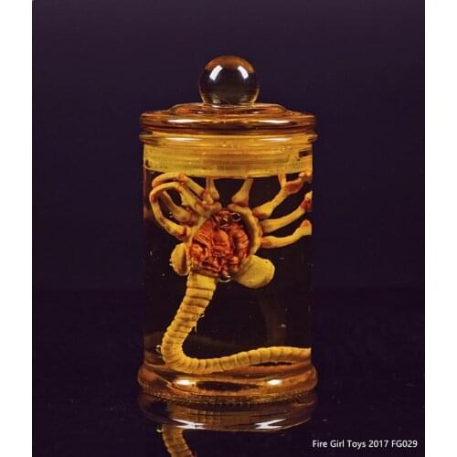 1/6 Solider Scene Accessory Predator Alien Larva Face Bug + glass bottle Fire Girl Toys Chestburster Facehugger Culture Tank