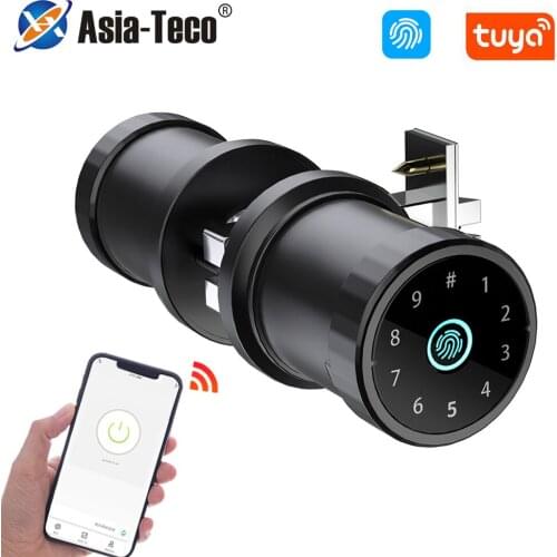 Bluetooth Tuya App Control Biometric Identification Control Fingerprint Smart Lock Smart Card Password Key Electronic Door Lock