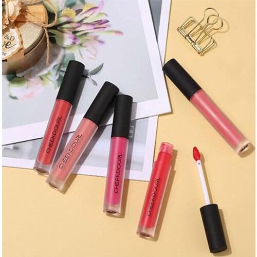CHEEKDOURL 5 Colors/Set Moisturizer Matte Liquid Lip Gloss Set Mouth Red Lip Glaze Stick Profession Cosmetics Tools