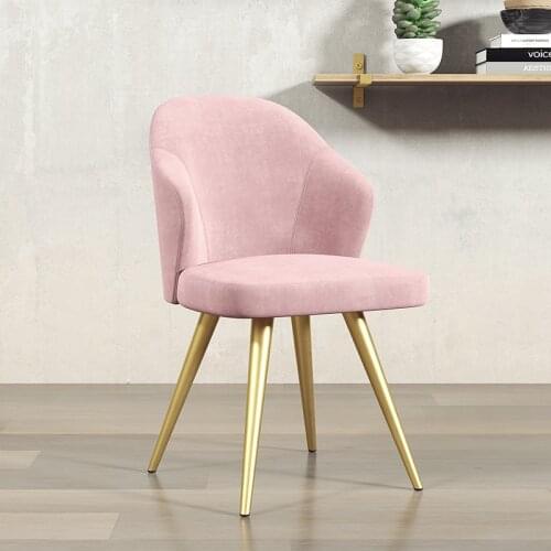 Nordic Style Restaurant Chairs Backrest Leisure Chair Dining Chair Modern Minimalist Home Creative Ins Light Luxury Makeup Chair