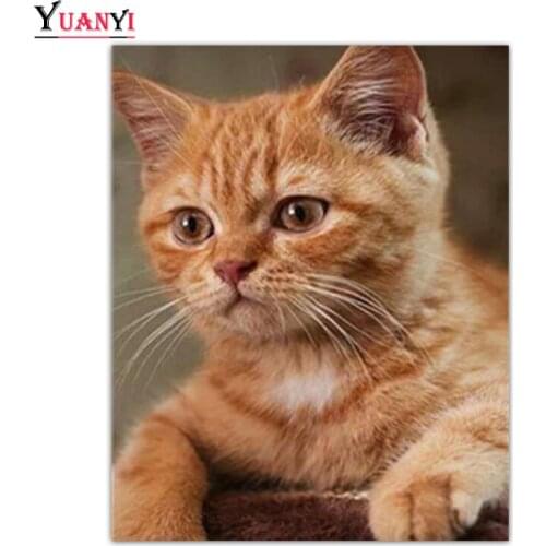 Full Round Diamond Embroidery Animal Cat lovely Full Square Diamond Mosaic 5D DIY Diamond Painting Cross Stitch Home Decor