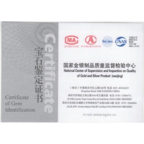 Extra cost for Certificate (English Version), not sold separately