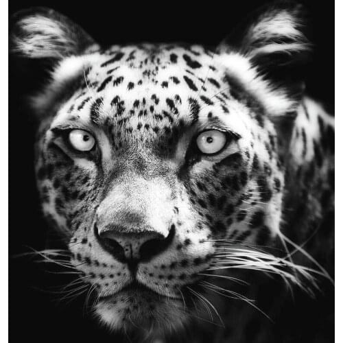 GELANYOUPIN Full Round 5D Diamond Painting leopard Diamond Embroidery black and white Cross Stitch Home Decoration