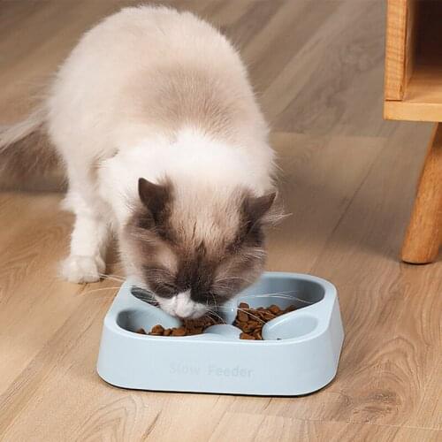 Dog Slow Feeder Bowl No Choking Pet Slowing Eating Trainer Anti-Slip Licking Food Dispenser for Cat Perros Accesorios