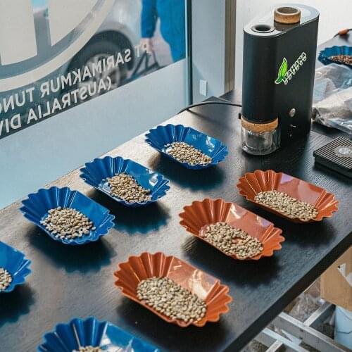 Coffee Cupping Sample Tray Snack Plate Bowl Oval Tray for Green and Roasted Coffee Beans PICK