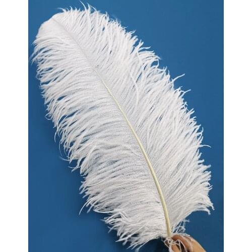 10pcs/lot Beautiful Ostrich Feather Craft 55-60CM 22-24Inch Celebration Accessories Wedding Christmas Dancers Plume Plumas