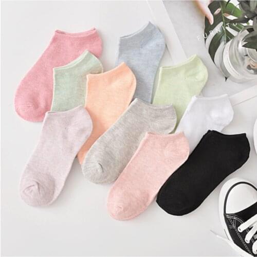 BH Women's Socks And Hosiery