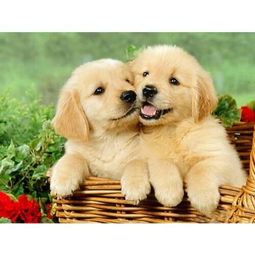 5D DIY Animal Diamond Embroidery Full Square Diamond Painting Dog Cross Stitch Kit Handmade Gift Home Decoration