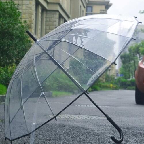 Small fresh white transparent umbrella sunny rain dual-use straight handle umbrella folding child personality student