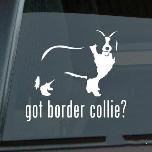 Got Border Collie Sticker Die Cut Vinyl - v2 sheep dog window decal Size(inch): 6.00 x 5.45