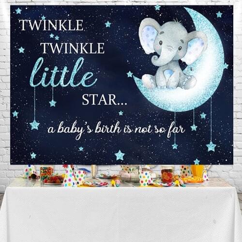 Sensfun Twinkle Twinkle Little Star Party Background Baby Shower Booth Props Photocall Background Photo Studio Banner
