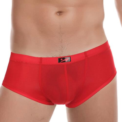 Man Thin Boxer Shorts EU Size New 2019 Sexy Men Nylon Underwear Trunk Breathable Mesh Male Underpants Cueca Gay Penis Pouch