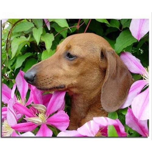 Diamond Mosaic Diy 5D Diamond Embroidery Stray Dogs In The Flowers 3D Diamond Painting Cross Stitch Floral Rhinestone Decoration