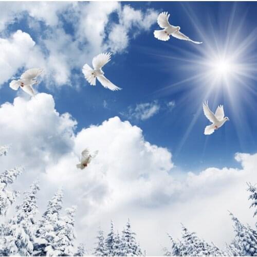 Custom Mural Wall Paper 3D Stereoscopic ceilings Blue sky and white cloud dove ceiling mural
