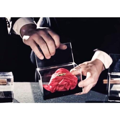 Magic tricks,2017 New Arrivals Pro Switch Box (Gimmick+instruction),Close up magic,illusion,money magic,props