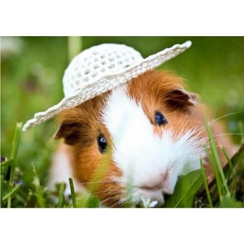 Animal 5D Diy Diamond Painting Guinea pig 3D Diamond Mosaic Full Square/round Diamond Embroidery Christmas home decoration TY858