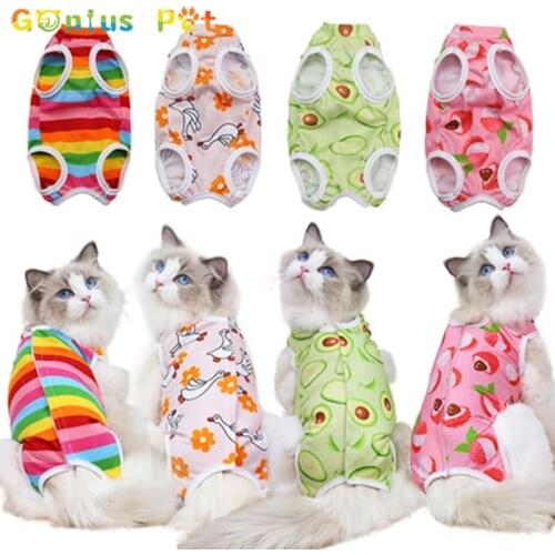 Одежда для кошек Gonius Pet China At AliExpress