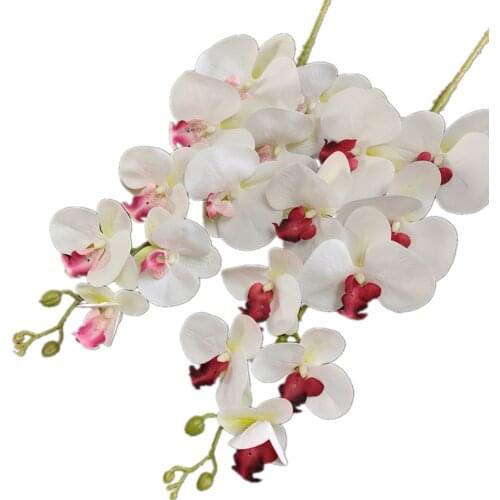 5pcs Latex Butterfly Orchid Long Stem 3D Printing Faux 9 Heads Real Touch Phalaenopsis Orchids 33 Colors Artificial Flower