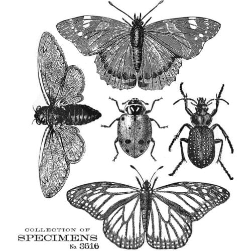Decorative Collection of Butterfly Moth Beatles Transparent Clear Silicone Stamp Collection of Flying Insects Stamp