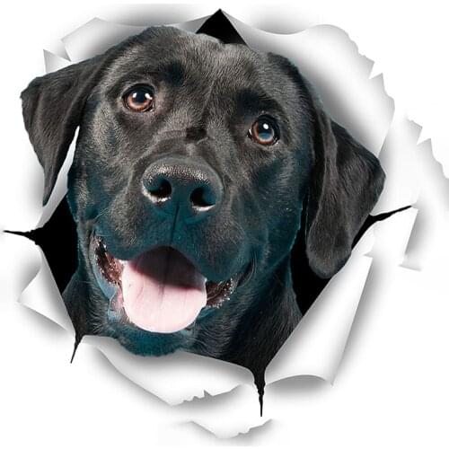 12cm*9cm 1 pcs Cute Black Labrador Torn Metal Car Sticker Waterproof Decal Laptop Suitcase Motorcycle Auto Accessories PVC
