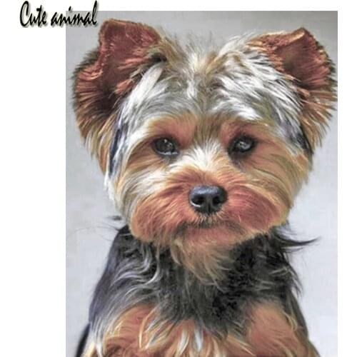 5D DIY Diamond Painting Full Drill Square Yorkshire Terrier Cross Stitch Kit pet Dog Diamond Embroidery Rhinestone Mosaic Decor