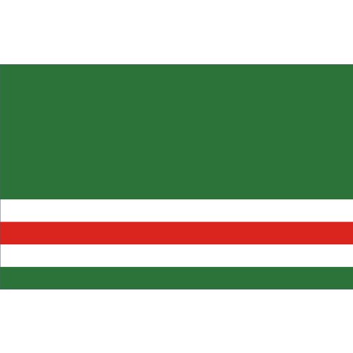 Chechen Republic Flag Russia State Flag 150X90CM 100D Polyester3x5FT brass grommets custom flag