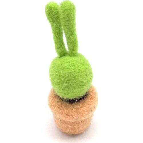 Needle Felting Kits Mini Cactus for Beginners, Felting Needles, Instruction, DIY Kit Wool Felting Craft Gift (E)