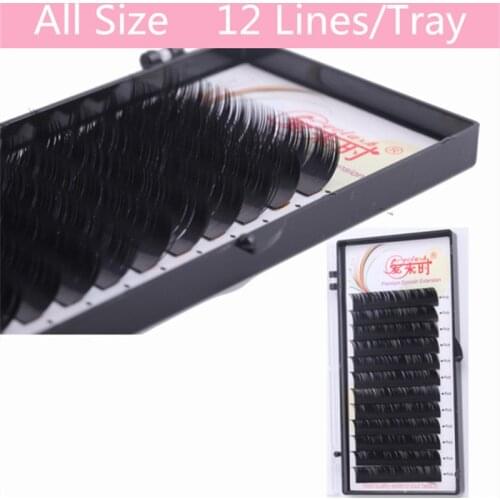 1 PC 0.05 0.07 0.10 0.12 0.15 0.20 0.25 BCD Curl 12 Rows/Tray 3D Volume Eyelash Extension Silk Mink False Fake Eyelash Extension
