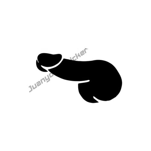 Аксессуары для экстерьера автомобиля ORACAL China At AliExpress