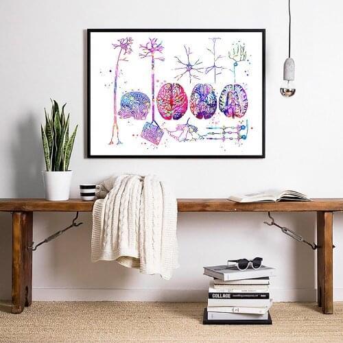 Brain Anatomy Neurons Poster Nervous System Art Paintings Neuron Types Print Histology Picture Neurosurgeon Gift Decor