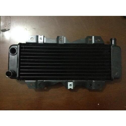 For General-purpose high-quality motorcycle scooter for big spring sheep 250 radiator water tank wholesale
