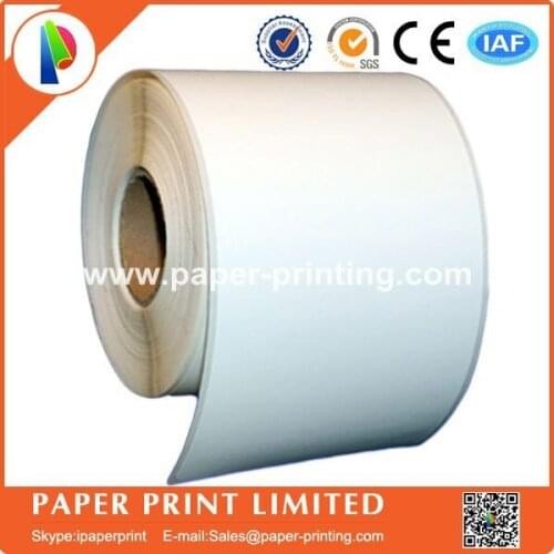 100 Rolls DYMO 30256 REMOVABLE Compatible 2-5/16" x 4"(59mm x 101mm) Large Shipping Labels,BPA Free