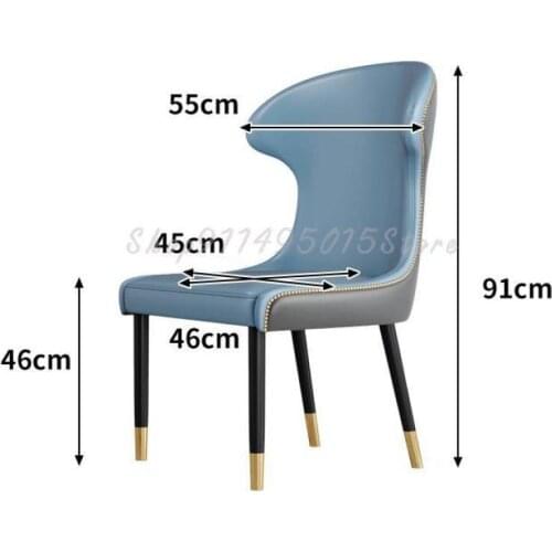 Nordic Dining Chair Home Modern Minimalist Net Red Ins Light Luxury Restaurant Hotel Backrest Chair Dining Table Iron Stool