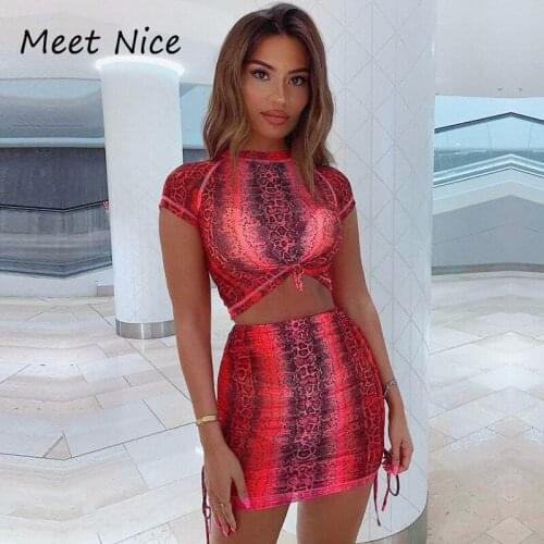2 Two Piece Set Women Snake Print Beach Set Mesh See Through Crop Top Mini Skirts Set Sexy Summer Two Piece Outfits 2020