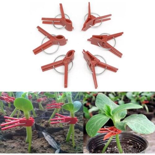 50pcs Vegetable Grafting Clamp Cucumber Clip Watermelon Melon Grafting Clip Eggplant Grafting Plastic Clip